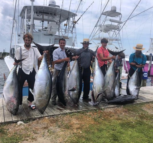 OBX Bait & Tackle Corolla Outer Banks, Corolla Fish Report