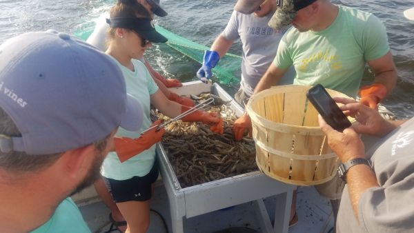 OBX Bait & Tackle Corolla Outer Banks, Corolla Fish Report