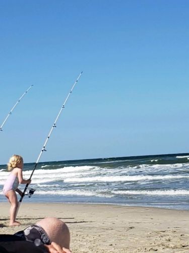 OBX Bait & Tackle Corolla Outer Banks, Corolla Fish Report