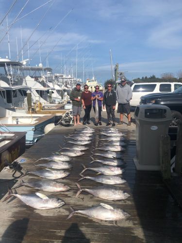 Pirate's Cove Marina, Tuna Thursday!