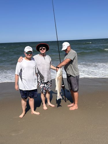 OBX Bait & Tackle Corolla Outer Banks, Corolla Fish Report