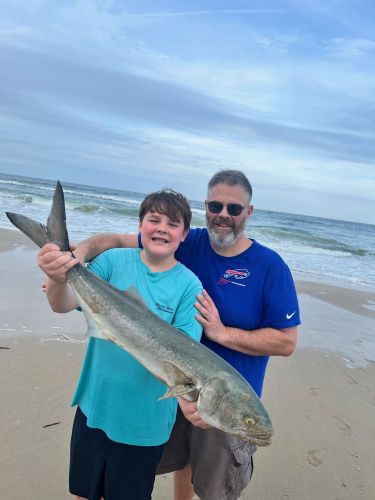 OBX Bait & Tackle Corolla Outer Banks, Corolla Fish Report