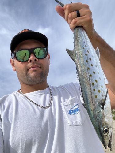 OBX Bait & Tackle Corolla Outer Banks, Corolla Fish Report