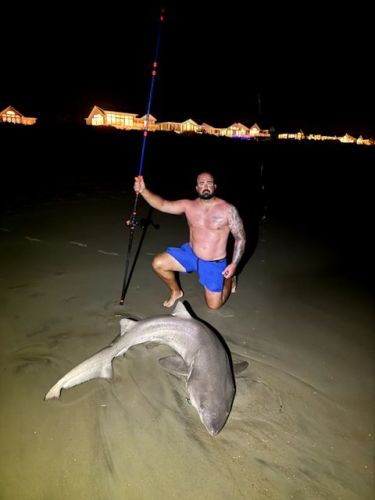OBX Bait & Tackle Corolla Outer Banks, Corolla Fish Report