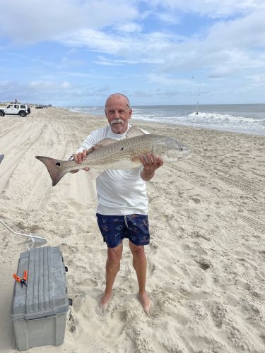 OBX Bait & Tackle Corolla Outer Banks, Corolla Fish Report