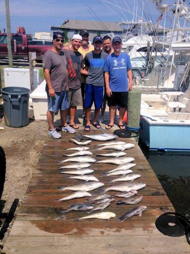 Wanchese Marina, Nice Mix hitting the Docks