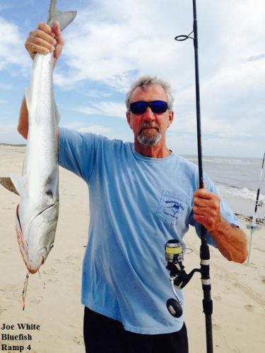 TW’s Bait & Tackle, Daily Fishing Report