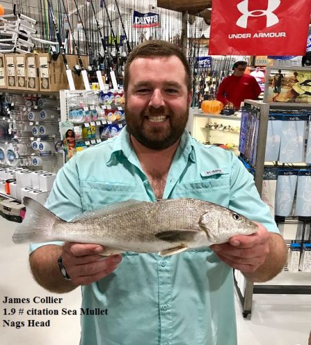 TW’s Bait & Tackle, Daily Fishing Report