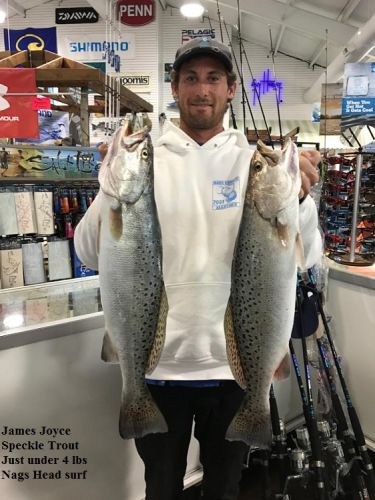 TW’s Bait & Tackle, Daily Fishing Report