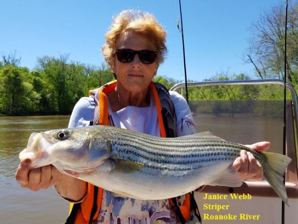 TW’s Bait & Tackle, Daily Fishing Report