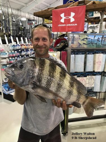 TW’s Bait & Tackle, Daily Fishing Report