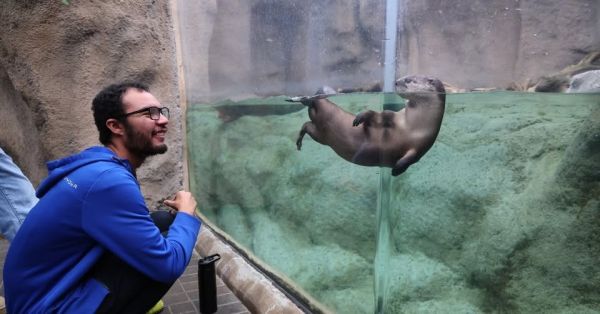 Jennette's Pier, Cold Ocean and Air
