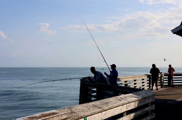 Jennette's Pier, Bluefish, Spanish Mackerel & Sea Mullet