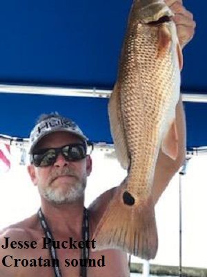 TW’s Bait & Tackle, TW's Daily Fishing Report