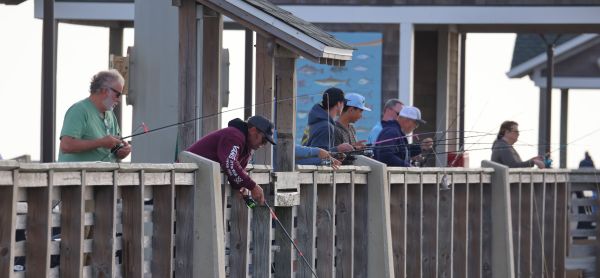 Jennette's Pier, Jigging for Bluefish