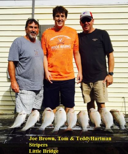 TW’s Bait & Tackle, Daily Fishing Report.