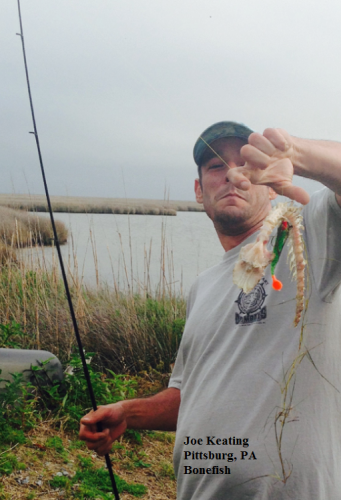 TW’s Bait & Tackle, Daily Fishing Report