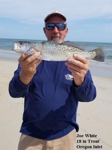 TW’s Bait & Tackle, Daily Fishing Report