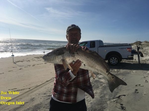 TW’s Bait & Tackle, Daily Fishing Report