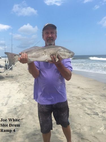 TW’s Bait & Tackle, Daily Fishing Report