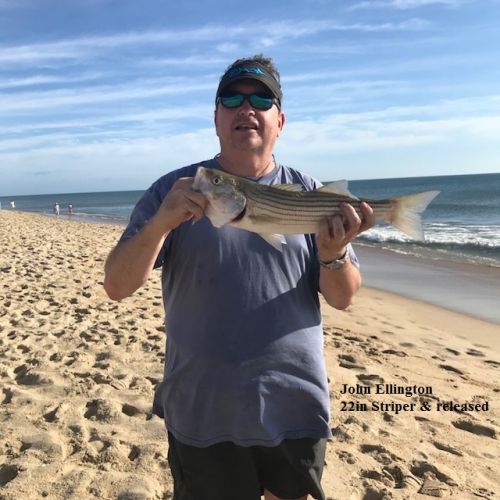 TW’s Bait & Tackle, Daily Fishing Report