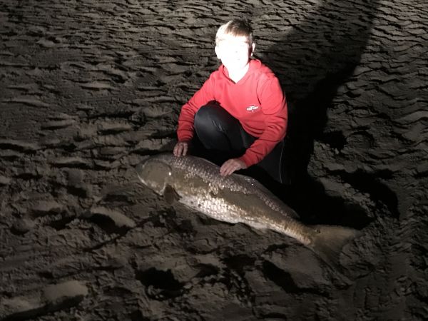 Dillon's Corner, Fishing Report Sunday 11/24/2019