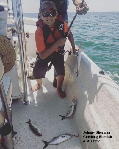 TW’s Bait & Tackle, Daily Fishing Report