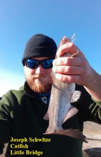 TW’s Bait & Tackle, TW's Daily Fishing Report