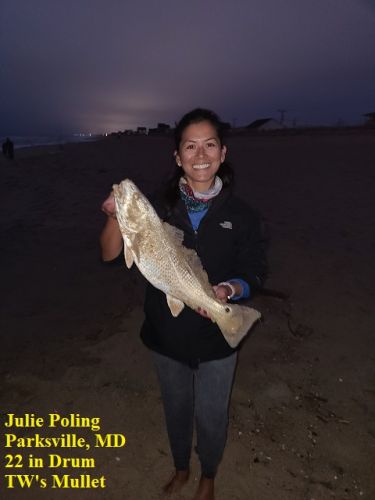 Tw S Daily Fishing Report November 15 2020 Tw S Bait Tackle Outer Banks Fishing Reports
