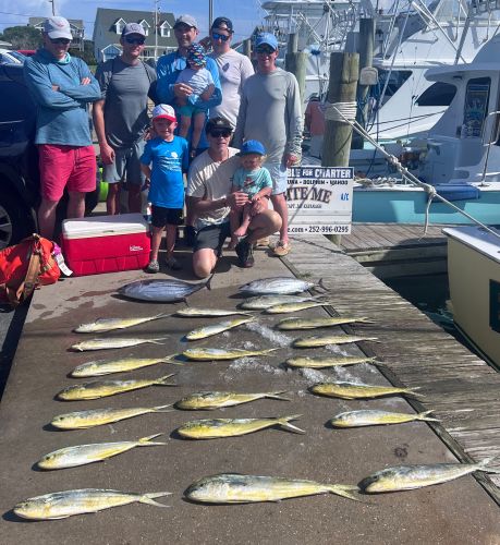 Bite Me Sportfishing Charters, Dolphins and Skip Jack Tuna