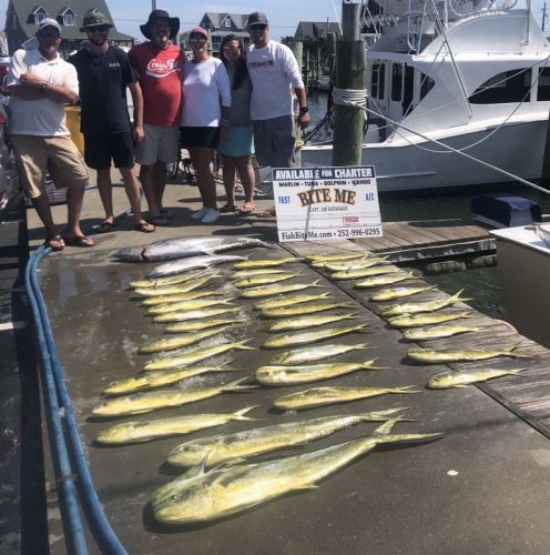 Bite Me Sportfishing Charters, Dolphin and Kings