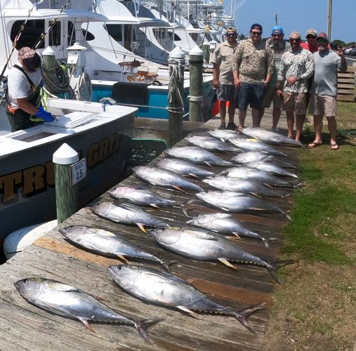 True Grit Sportfishing, Full Box