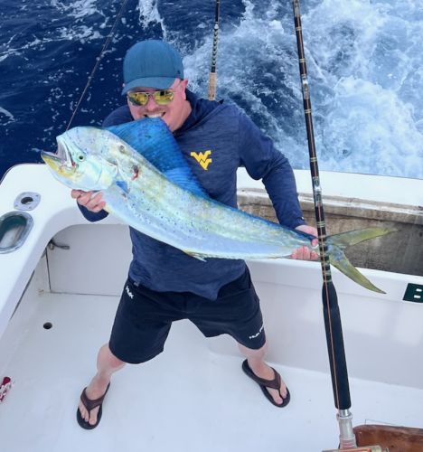 Bite Me Sportfishing Charters, Good Dolphin Fishing Continues