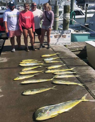 Bite Me Sportfishing Charters, Dolphin and a blue marlin encounter