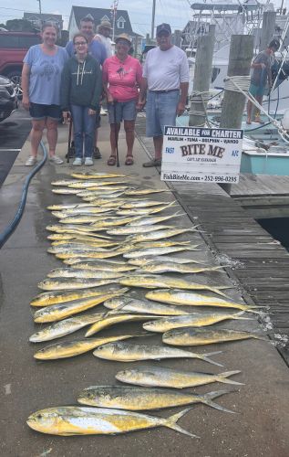 Bite Me Sportfishing Charters, New friends with dolphins!