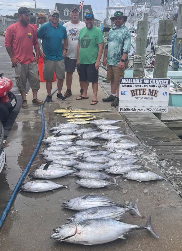 Bite Me Sportfishing Charters, Blackfin Tuna