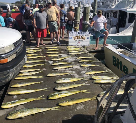 Bite Me Sportfishing Charters, Father Son trip! Lots of Dolphins!