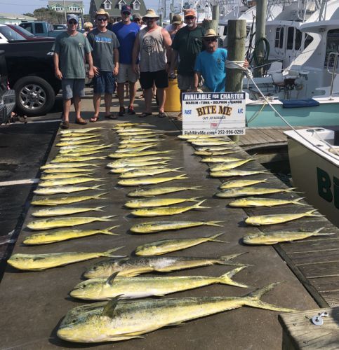 Bite Me Sportfishing Charters, Good dolphin Fishing!