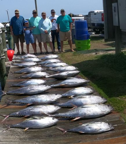 True Grit Sportfishing, Great Tuna Fishing