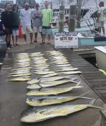 Bite Me Sportfishing Charters, Pretty Day with Dolphin!