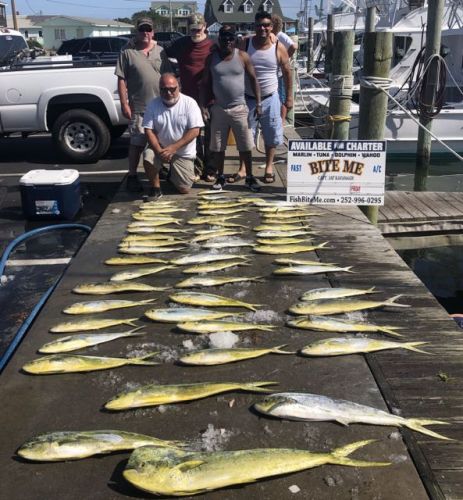 Bite Me Sportfishing Charters, Mahi on a pretty day!