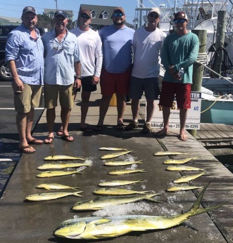 Bite Me Sportfishing Charters, Mahi and bull head