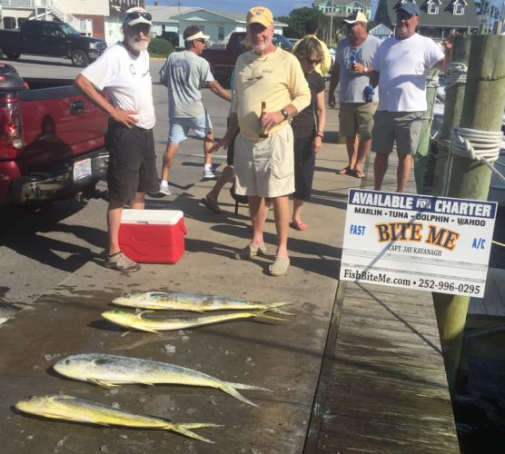 Bite Me Sportfishing Charters, Searching for Marlins