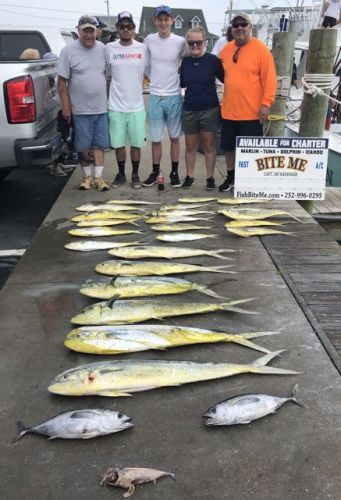 Bite Me Sportfishing Charters, dolphin and blue marlin hunting on a pretty day