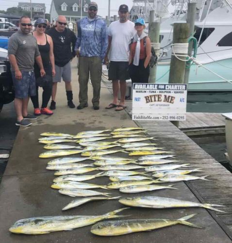 Bite Me Sportfishing Charters, More dolphin action