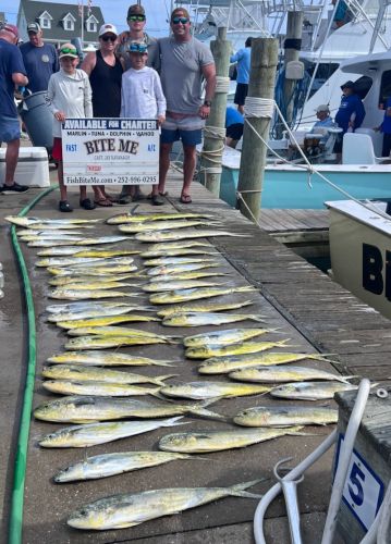 Bite Me Sportfishing Charters, Dolphin on a Pretty Day