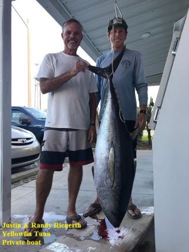 TW’s Bait & Tackle, Daily Fishing Report