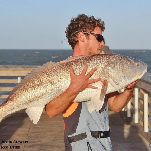 TW’s Bait & Tackle, Daily Fishing Report