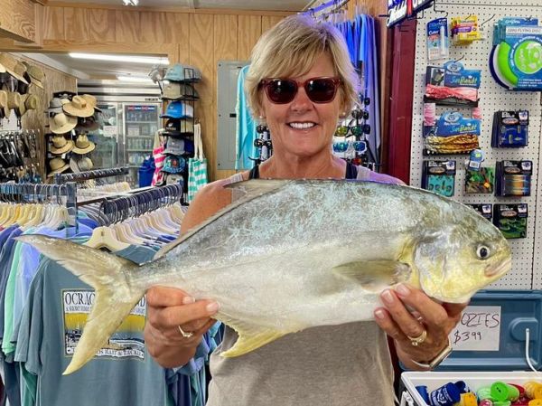 Dillon's Corner, Blues, Sharks, Sea Mullet