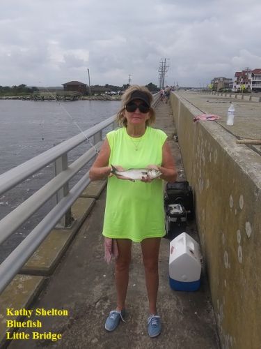 TW’s Bait & Tackle, Daily Fishing Report